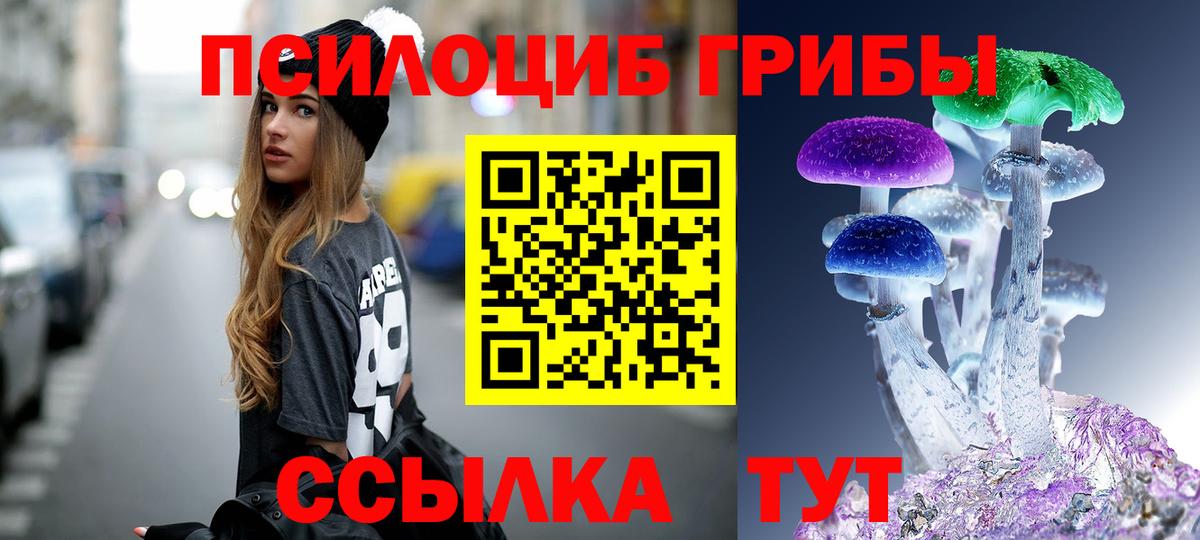 Галлюциногенные грибы прущие грибы Ростов-на-Дону